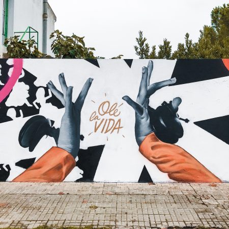 Mural Graffiti Streetart Olelavida Fert Dase Mollet 2017 2 450x450