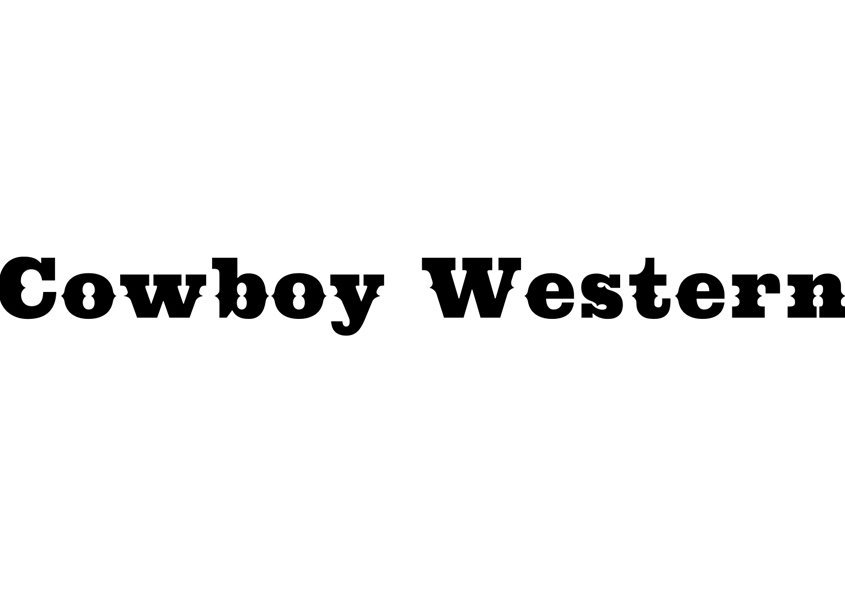 Cowboy 845x594