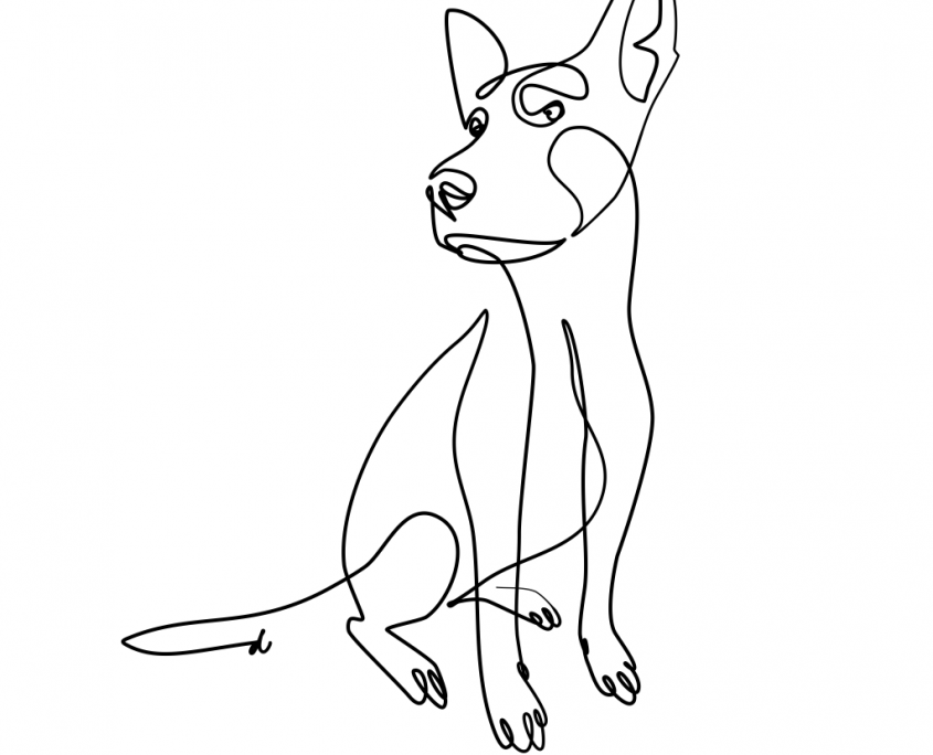 Ilustracion Personalizada Mascota Perro Animal Amigo 845x684