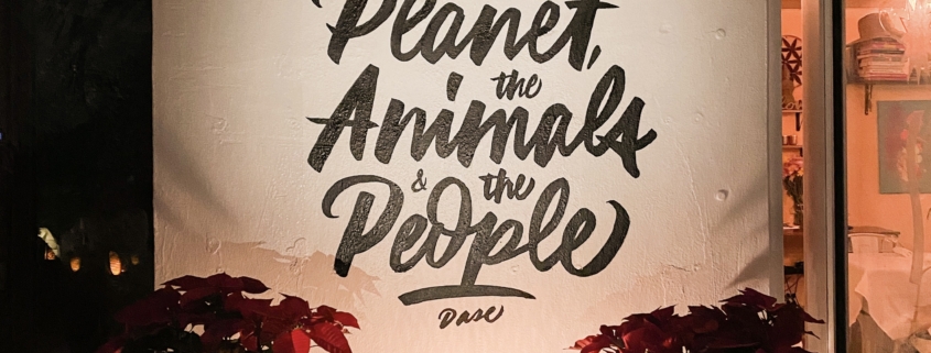 mural lettering letras frase veganismo