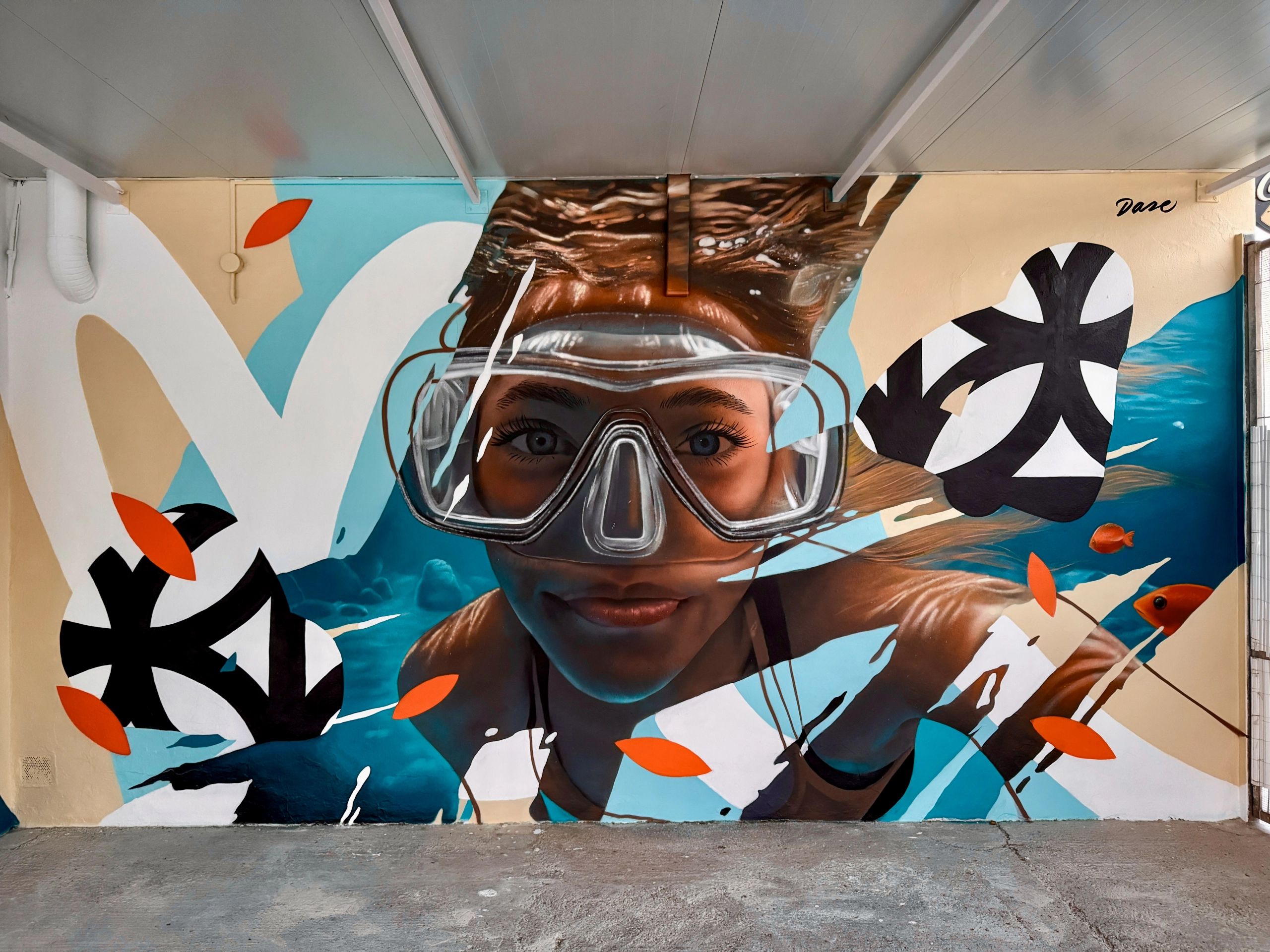 Grafiteros en Vitoria · Graffiti Profesional de un Artista · Dase
